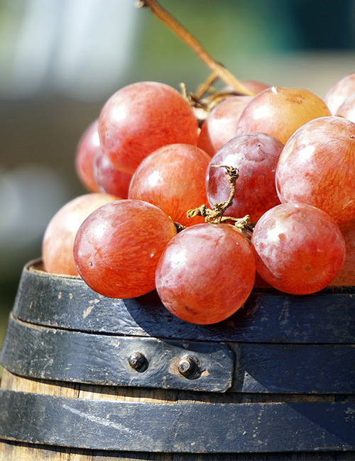 barrel of red grapes