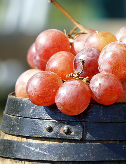 barrel of red grapes