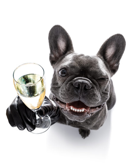doggo holding up wine glass while winking