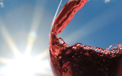 How to Choose the Best Red Wine for You!