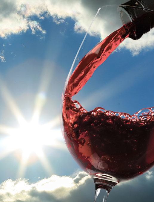 How to Choose the Best Red Wine for You!