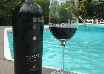 Mascota Unanime Red Blend Review